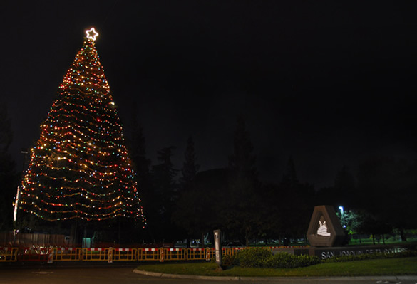 Delta College Hospice Tree of Lights