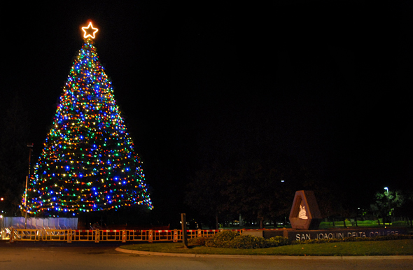 Delta College Hospice Tree, 2010