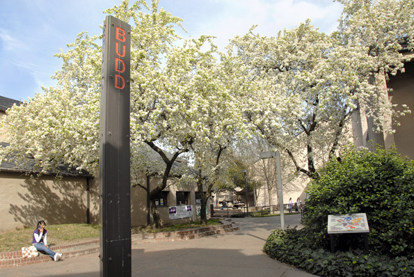 Spring Setting near the Budd Building