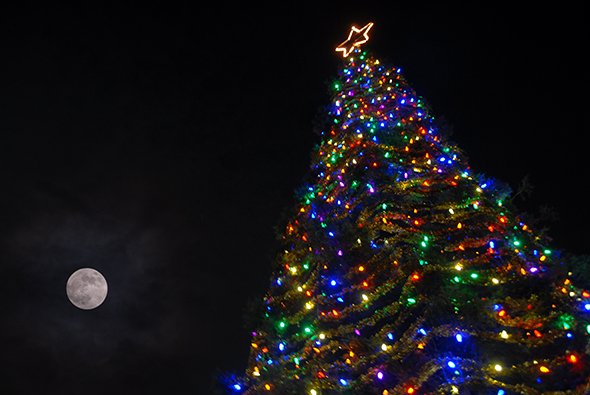 A Full Moon Adorned Delta College's Hospice of San Joaquin Tree of Lights