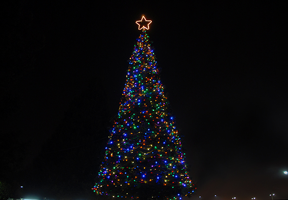 Delta College's 2012 Hospice Tree of Lights