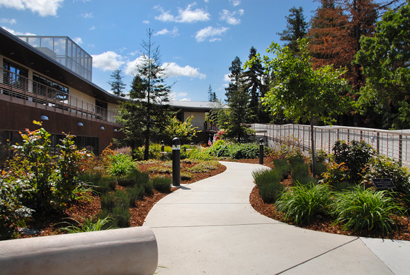 Elizabeth Humbargar Tolerance Garden