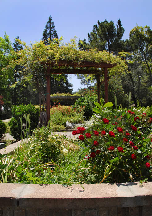 Delta College Demo Garden Foliage