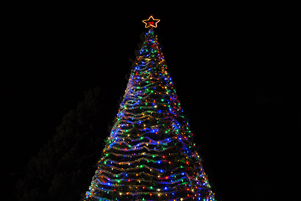 Hospice Tree of Lights 2013