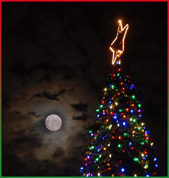 Delta College's Hospice of San Joaquin Tree of Lights