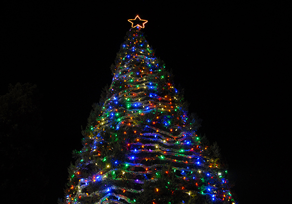 Hospice of San Joaquin "Tree of Lights" 2014