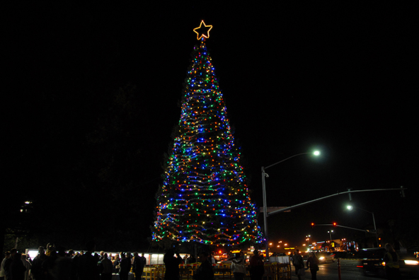 Hospice of San Joaquin Tree of Lights, 2014!