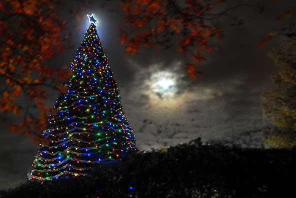 Delta College's Hospice of San Joaquin Tree of Lights for 2015