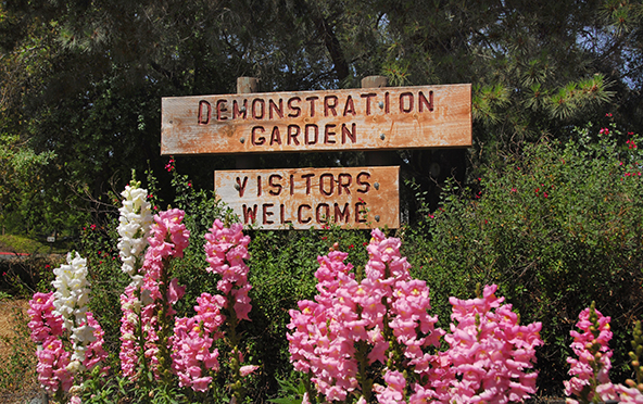 Entry to Delta's Demonstration Garden