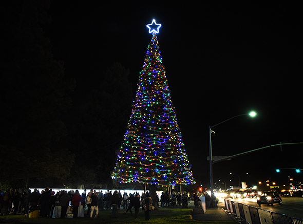 2016 Hospice of San Joaquin Tree of Lights