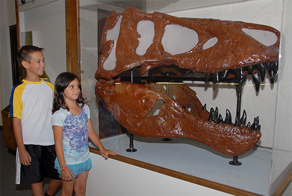 T. Rex Scull - Donated to Lodi's WOW Museum!