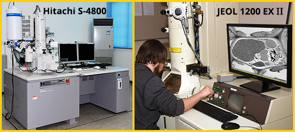 Delta College receives Electron Microscope donations. Microscopes pictured.