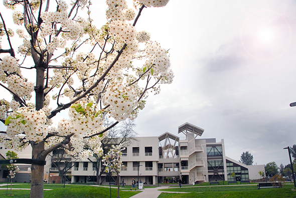 Science and Math Plaza area in bloom for spring!