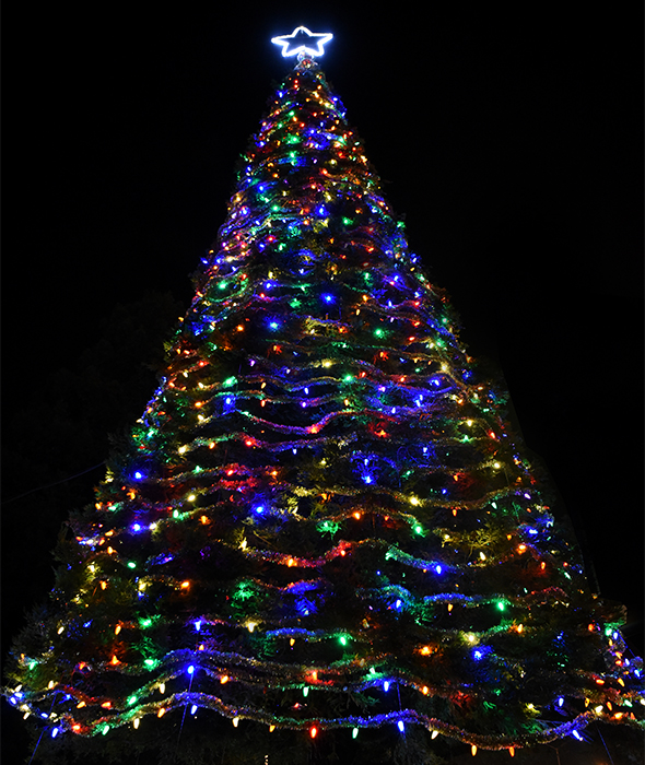 Delta College's Hospice of San Joaquin Tree of Lights