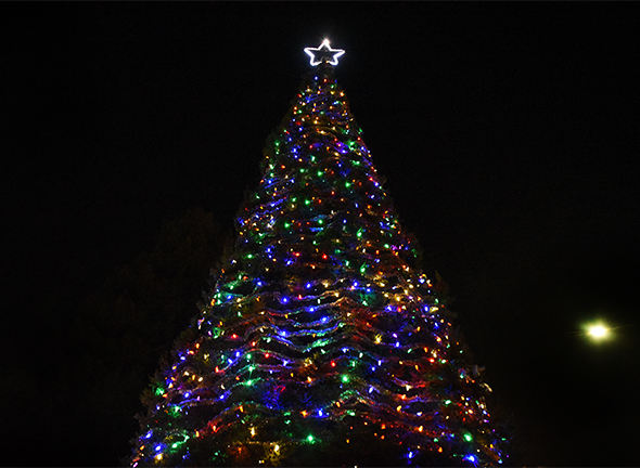 Hospice of San Joaquin/Delta College Tree of Lights, 2017